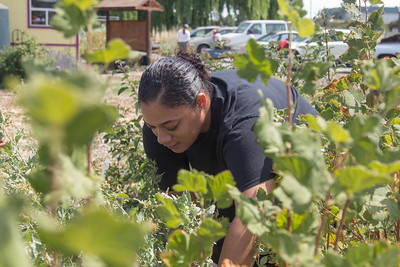 Brown woman with slicked hair tending to bright green crops 